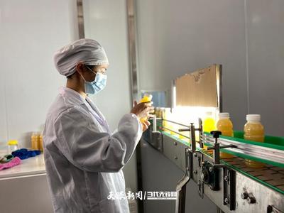 六盤水 產(chǎn)業(yè)轉型蹄疾步穩(wěn)，獼猴桃變身“致富果”