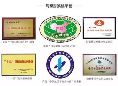 周至獼猴桃盼銷(xiāo)路 萬(wàn)千兒女的呼喚，您的援手見(jiàn)真情